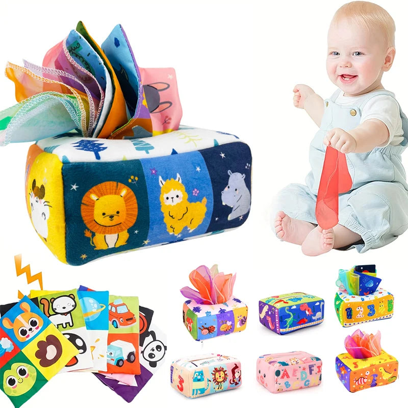 NESTRA Discovery Box