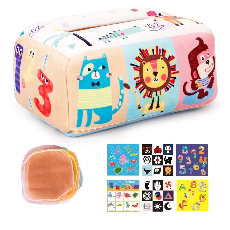 NESTRA Discovery Box