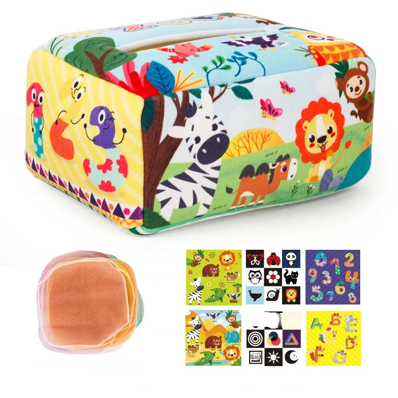 NESTRA Discovery Box